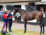 NH051025-49 - Thewoodcorner